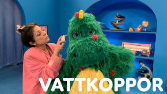 SVT Barn