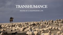 Transhumance - Routes of a Disappearing Life