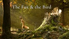 The Fox and the Bird