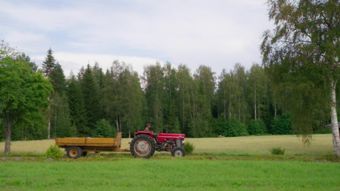 Nelonen