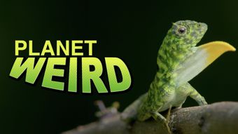 Viasat Nature HD