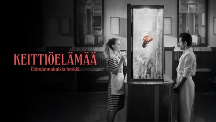 Keittiöelämää