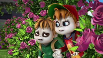 MTV Juniori