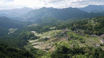NHK World