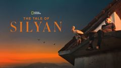 Silyan: haikaran tarina