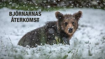 Viasat Nature HD