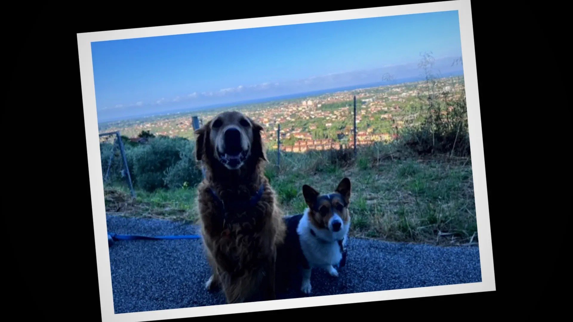 Asunnon metsästäjät maailmalla