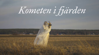 Yle Teema & Fem