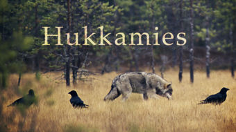 Yle TV2