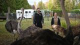 Animal Control