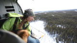 Yukonin eläinlääkäri