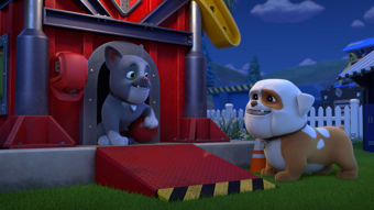 Nick Jr