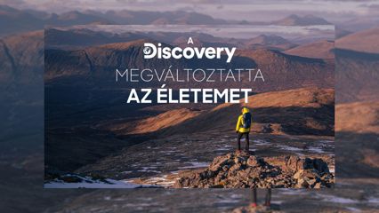 Discovery Changed My Life