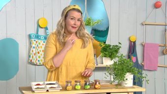 Yle TV2