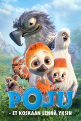 Poju - et koskaan lennä yksin