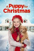 A Puppy for Christmas