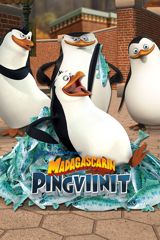 Madagascarin pingviinit