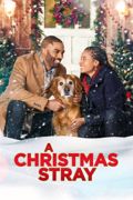 A Christmas Stray