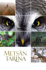 Metsän tarina